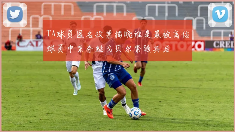 TA球员匿名投票揭晓谁是最被高估球员申京夺魁戈贝尔紧随其后